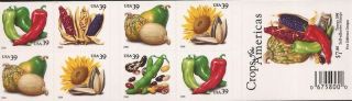 Us Stamp 2006 Crops Of The Americas 20 Stamp Booklet 4012b