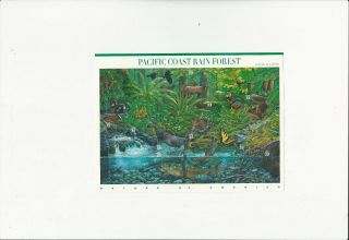 Us Stamps/postage/sheets Sc 3378 Pacific Coast Rain Forest Mnh F - Vf Og Fv$73.  30