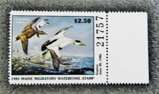 Nystamps Us Maine Duck Stamp 2 Og Nh $25