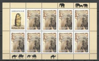 E1278 2009 Tajikistan Wwf Fauna Of Asia Animals Elephants 1kb Mnh