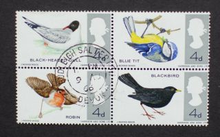 Gb Qeii 1966 British Birds (ord) Fine Block With Budleigh Salterton,  Cancel