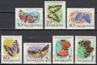 1959 Magyar Hungaria Butterfly Stamps Mnh