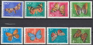 Magyar Hungaria Butterfly Stamps Mnh