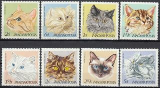 1968 Hungaria Magyar Cats Stamps Mnh