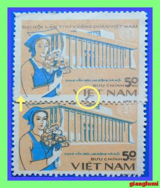 Vietnam Worker 