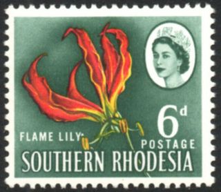 Southern Rhodesia 1964 6d Flame Lily,  Stop After Lily Variety,  Sg 97,  Um