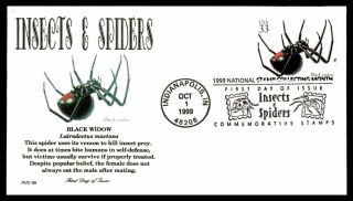 Mayfairstamps Us Fdc 1999 Insects & Spiders Black Widow First Day Cover Wwb88673