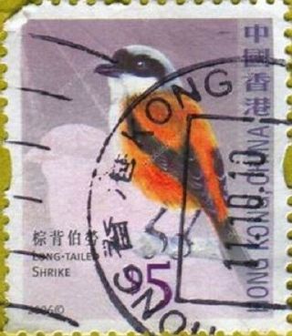 Hong Kong $5 Stamp Birds " Long - Tailed Shrike " Landscape Image Photo Stamp