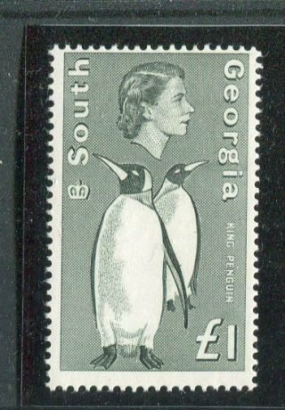 Falkland Islands South Georgia Qeii 1969 £1 Grey - Black Sg16 Mnh