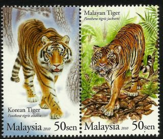 Malaysia 2010 Malaysia Tiger Set Of 2 Mnh Joint Issue With Korea South