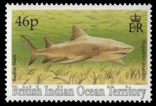 Br Indian Ocean 157 (sg161) - Lemon Shark (pa16251) Biot