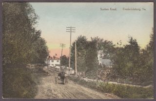 Fredericksburg,  Va; Spotsylvania County,  Virginia; Civil War Sunken Road; Horse