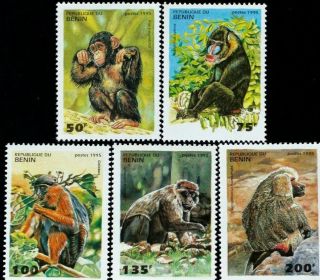 R.  Benin - Monkey - 5 St. ,  1 S/sh.  - 1995.  Mnh,  Ben 80/l