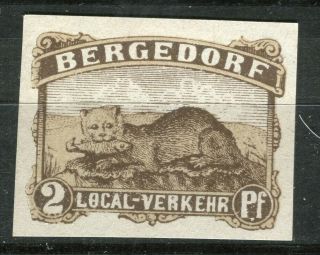 Germany 1860s - 70s Bergedorf Privat Local Post Hinged 2pf.  Value,  Imperf