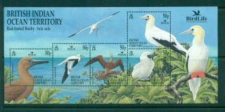 B.  I.  O.  T.  - Sc 244.  2002 Sea Birds.  Mnh Sheet.  $14.  50.
