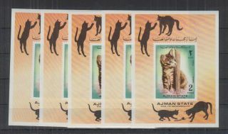 Y924.  5x Ajman - Mnh - Nature - Cats