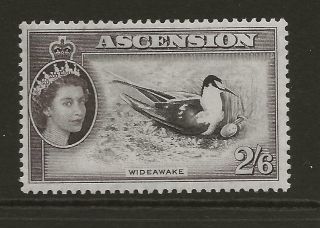 Ascension Qeii Sg67 2s6d Sooty Tern Bird Thematic Fine Light Cat £30