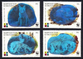 Kyrgyzstan Wwf Corsac Fox Holographic Stamps 4v Mnh Sg 163 - 166 Mi 172 - 175 Sc 123