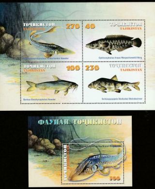 Tajikistan 2000 Fauna Fishes Mi.  Bl.  19 - 20 Mnh Souvenir Sheets Lot
