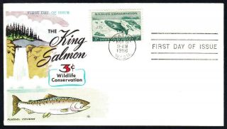 King Salmon Wildlife Conservation Stamp 1079 Fluegel First Day Cover Fdc (1503)