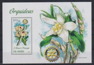 Y944.  Sao Tome And Principe - Mnh - 2013 - Nature - Plants - Flowers - Bl.