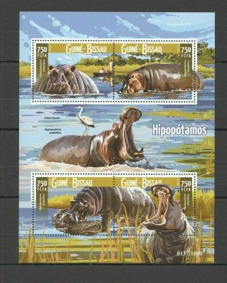 St996 2015 Guinea - Bissau Animals Fauna Hippopotames 1kb Mnh Stamps