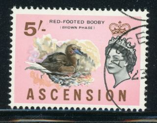 Ascension (qeii) Selections: Scott 86 5sh Red - Footed Booby Bird Cv$12,