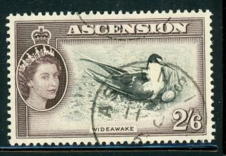 Ascension (qeii) Selections: Scott 72 2sh6p Wideawake Bird Fauna Cv$9,