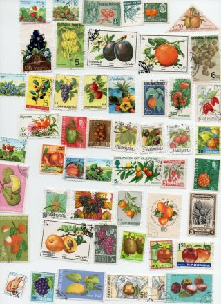 Fruit And Berries On Stamps 50 All Different - Off Paper