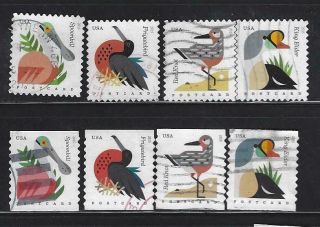 Us Sc 4991 - 4 4995 - 9 Coastal Birds Postcard Rate Coil & Pane Sets Off Paper