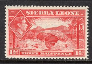 Sierra Leone Kgvi 1938 - 44 1½d Scarlet Sg190 Lm/mint
