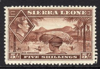 Sierra Leone Kgvi 1938 - 44 5s Red Brown Sg198 M/mint Cat £12