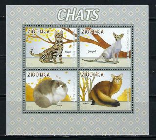 M2241 Mnh 2015 Souvenir Sheet Of Pet Cats Persan Somali Toyger & Oriental