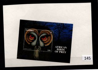 /// Gambia - Mnh - Nature - Birds - Prey - Owl