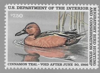 Rw52 1985 - Us Federal Duck Stamp - Og Nh Bv 20.  00