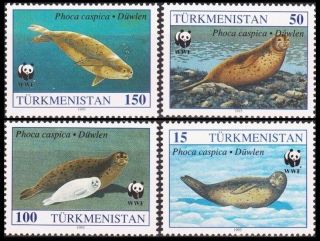 Turkmenistan 1993 Fauna Wwf: Marine Mammals - Caspian Seal,  Mnh