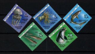 Russia,  Scott 5954 - 5958,  Set Of 5 Marine Life & Sea Creatures,  Mnh Year 1991