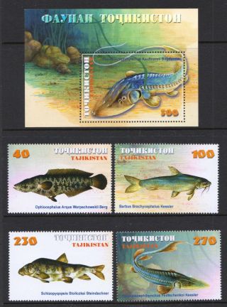 Tajikistan 2000 Fish - Mnh Stamps & Mini Sheet - Cat £9.  95 - (15)
