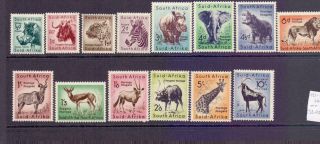 South Africa Sg151 - 64 Animals Thematic Full Set To R1 Fine Cat £32