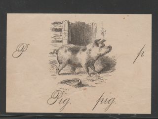 Usa Cinderella Revenue Fiscal Stamp 9 - 9 - 2 Pig Engraving On Piece