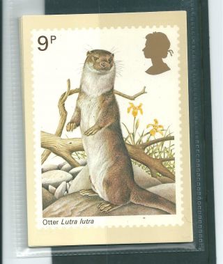 Wbc.  - Gb - Phq Cards - 1977 - British Wildlife - Comp.  Set