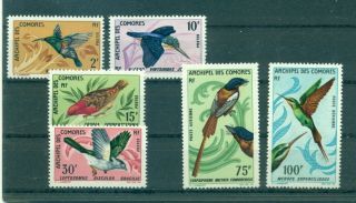 Comoro Is.  - Sc 69/c21.  1967 Birds.  Cplt.  Never Hinged.  $48.  50.