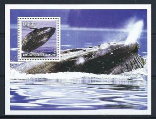 D1596 Nh 2002 1000f Marine Life Baleine Whale Souvenir Sheet