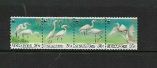 - 50p Start - Singapore - Birds Set - 1993 - Mnh