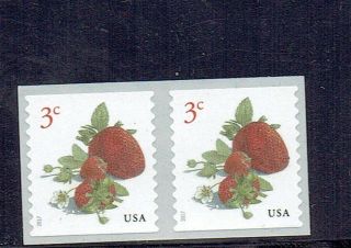 5201 Strawberries Us 3 Cent Stamp Mnh (2 Stamps)