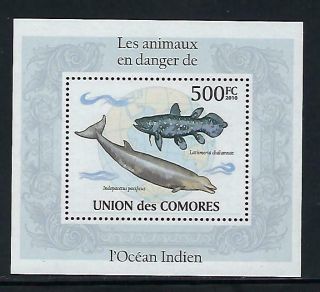 A530 Mnh 2010 Comores Deluxe Souvenir Sheet Of Endangered Fish Coelacanthes