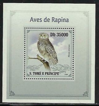 A247 Nh 2009 St.  Thomas Deluxe Souvenir Sheet Of Birds Of Prey Owls