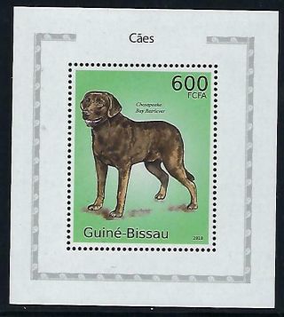 A137 Mnh 2010 Guine - Bissau Deluxe Souvenir Sheet Dog Chesapeake Bay Retriever