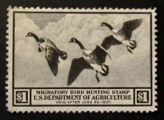Rw3 - 1936 Federal Duck Stamp - - No Gum