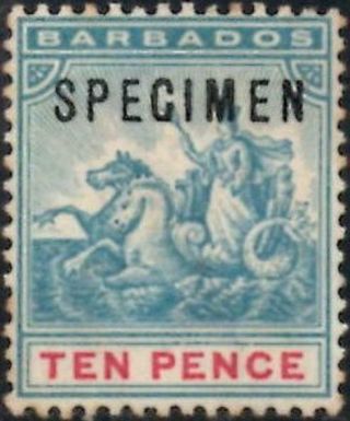 Barbados 1892 10d Dull Blue - Green & Carmine Specimen Ovpt.  Sg.  113s (hinged)